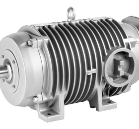 Động cơ bàn lăn SIMOTICS DP 